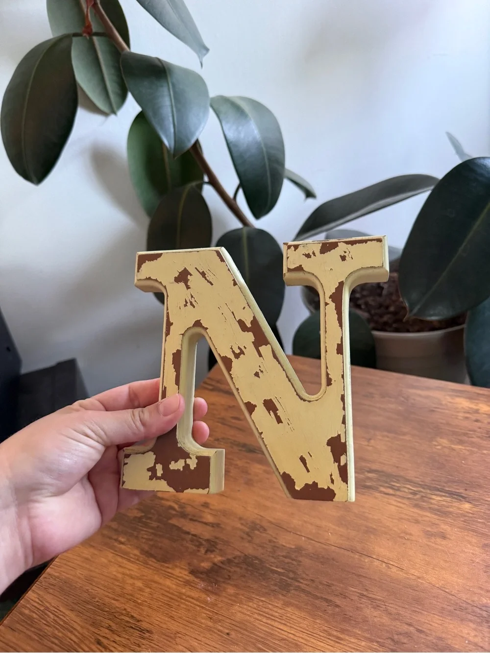 Distressed Letter N Wall Decor in Sage Green